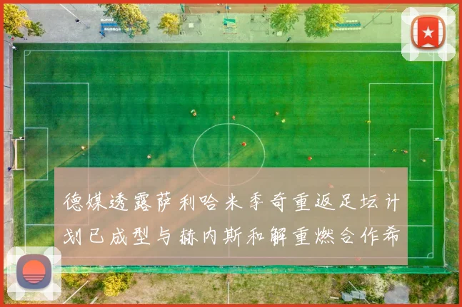 德媒透露萨利哈米季奇重返足坛计划已成型与赫内斯和解重燃合作希望